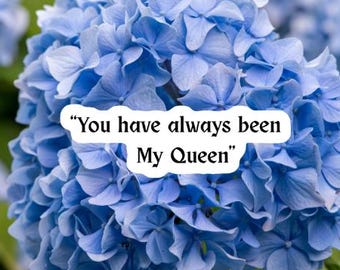 Book Inspired Merch|Spicy Book Quote Sticker