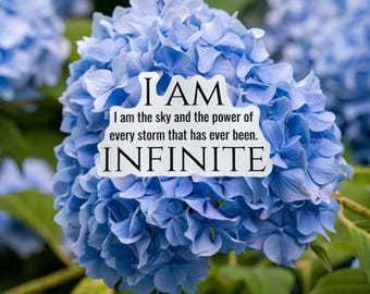 Spicy Book Quote sticker|I am Infinite