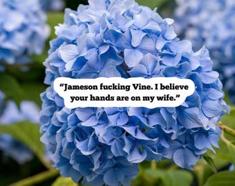 Book Inspired Merch|Spicy Book Quote Sticker|Jameson Vine