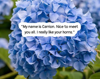 Carrion Swift Quote Sticker|Book merch