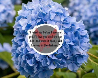 I Loved You Until The Sun Dies" - Red Rising Book Quote Sticker
