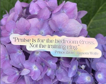 Book Inspired Merch|Spicy Book Quote Sticker