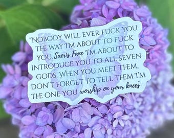 Quicksilver Spicy Quote Sticker | Dark Romance Book Merch