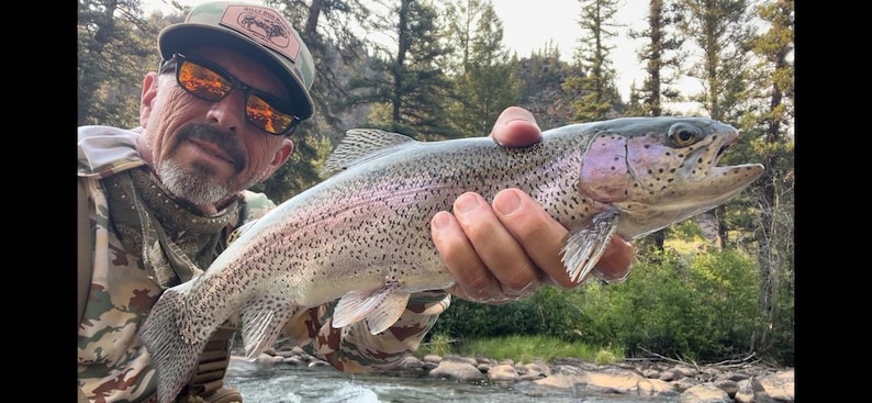 May include: A rainbow trout with a silver body, dark spots, and a distinct pink lateral stripe, held horizontally. The fish features a prominent dorsal fin, a forked tail, and a visible gill plate, showcasing its natural scales and coloration.