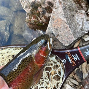 May include: A rainbow trout with dark spots and a vibrant red lateral stripe held in a Fishpond landing net. The net handle features printed measurement markings of 18, 20, 22, and 24 inches, with a cream-colored mesh netting and a dark brown frame.