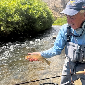 May include: A person wearing a light blue long-sleeve shirt, grey fishing waders, and a blue baseball cap with a small American flag patch, holding a small, speckled brown and orange trout over a flowing river with green bushes and mountains.