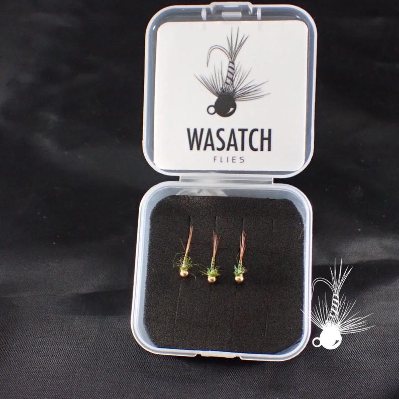 May include: A clear plastic case with the text "WASATCH FLIES" contains three fishing flies. The flies have gold-colored heads, green bodies, and brown and black feather details. The case is open, revealing the flies on a black foam insert.