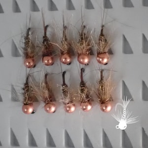 May include: Ten fishing flies arranged in two rows of five. Each fly features a shiny copper-colored bead head, a dark hook, and brown, wispy synthetic fibers extending from the body. A small white line drawing of a fly is in the corner.