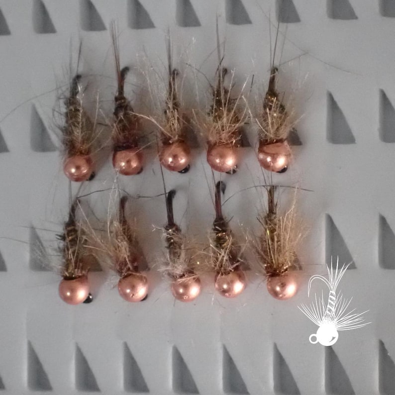 May include: Ten fishing flies arranged in two rows of five. Each fly features a shiny copper-colored bead head, a dark hook, and brown, wispy synthetic fibers extending from the body. A small white line drawing of a fly is in the corner.