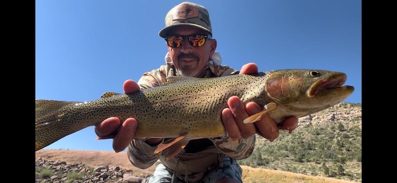 May include: A large rainbow trout with a speckled olive-green and silver body, held horizontally. The fish features a distinct pinkish-red lateral stripe along its side, a rounded snout, and translucent fins, showcasing its natural scales and texture.