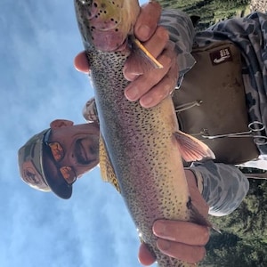 May include: A rainbow trout with a speckled body, a pink lateral stripe, and a yellow-tinted tail held vertically. The fish features dark spots along its back and sides, with a visible hook near the mouth and a clear view of its scales.