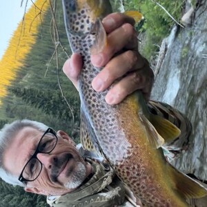 May include: A brown trout with dark spots and a yellowish-brown body held vertically. The fish features a distinct lateral line, translucent fins, and a slightly open mouth, showcasing its natural coloration and textured scales in a clear view.