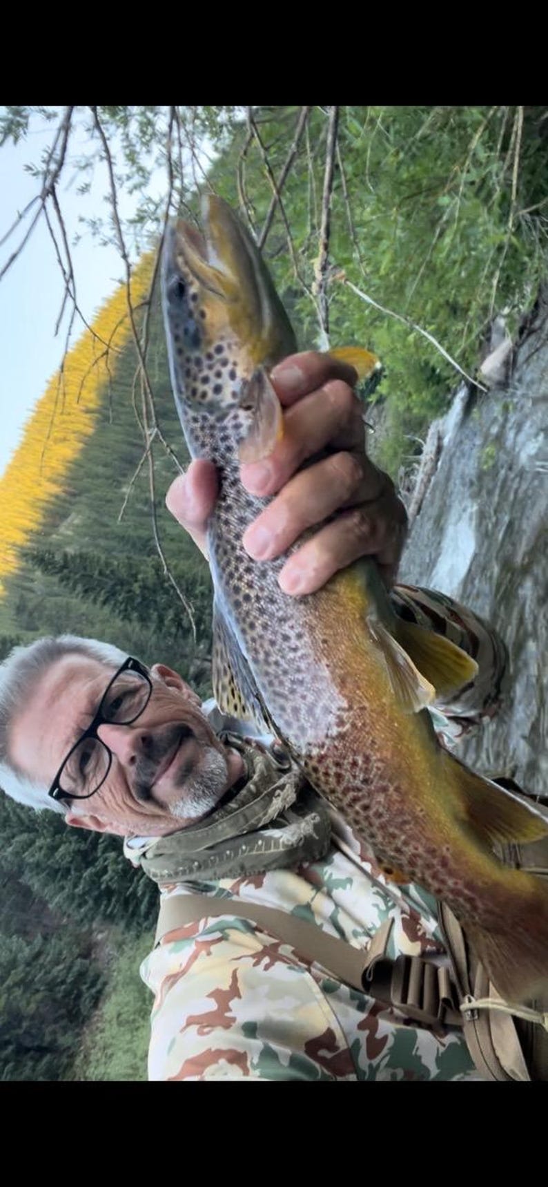 May include: A brown trout with dark spots and a yellowish-brown body held vertically. The fish features a distinct lateral line, translucent fins, and a slightly open mouth, showcasing its natural coloration and textured scales in a clear view.