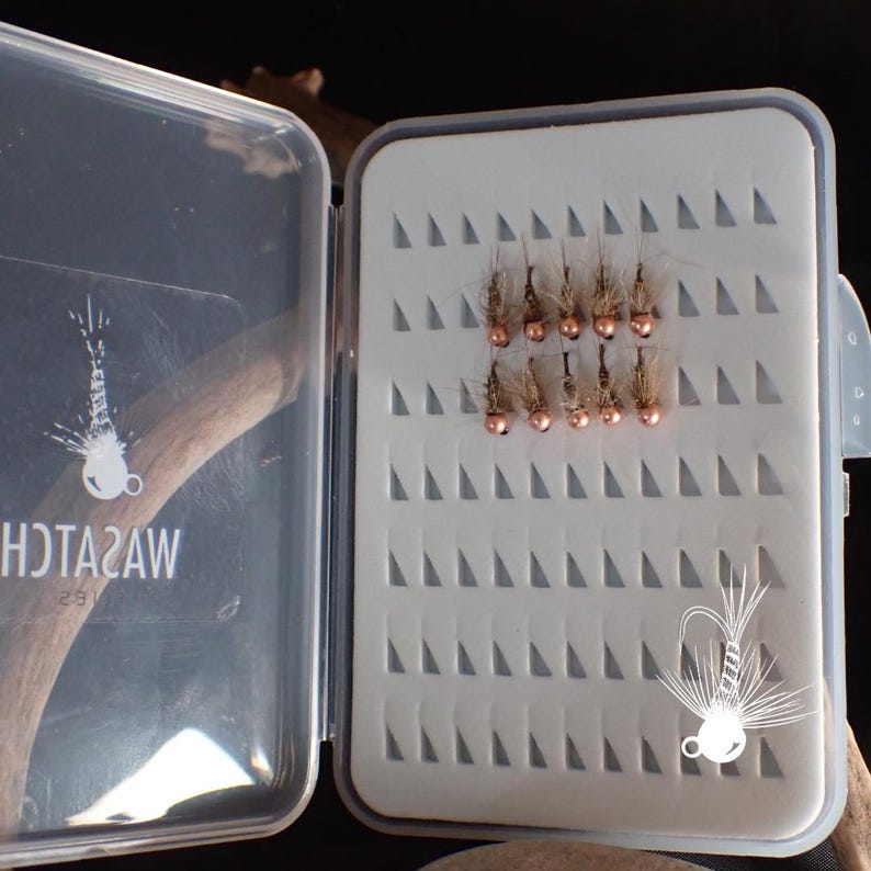 May include: A clear plastic fly fishing box containing ten artificial flies with copper-colored beads and brown hackle fibers. The lid features the white text WASATCH and a graphic of a fly. The interior has a grey foam insert with pre-cut slots.