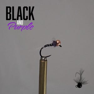 May include: A close-up of a fishing fly with a black hook and body, a copper-colored bead, and purple accents. The text "BLACK AND Purple" is displayed above the fly in black and purple font.