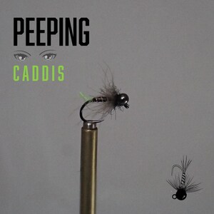 May include: A close-up of a fishing fly, featuring a dark bead head, gray body, and a curved hook. The fly is mounted on a gold-colored stand. The text "PEEPING CADDIS" is displayed above the fly in black and green.