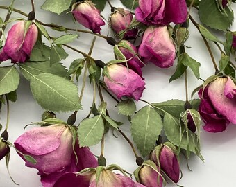 Dried mini rosebuds