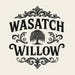 Wasatch Willow