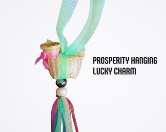 May include: A small woven basket hanging charm featuring a light green ribbon, a pink ribbon tie, and a multi-coloured tassel made of thin ribbons. A dark brown and a light wooden bead sit above the tassel. Text reads: PROSPERITY HANGING LUCKY CHARM.