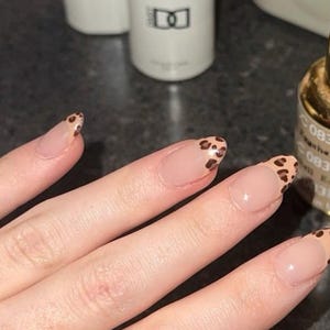 Leopard Frenchies | The Timeless Edit – 100% Gel Press On Nails | French Tip Nails, Neutral Leopard Design, Trendy Nail Art