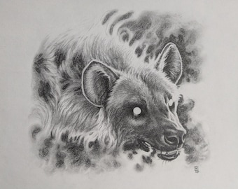 斑点のあるハイエナのオリジナル色鉛筆画 - 野生動物アート - 肖像
