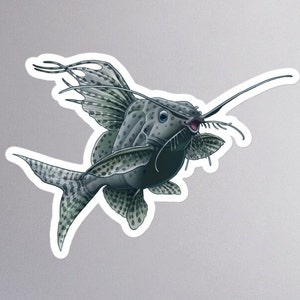 Featherfin Squeaker Sticker