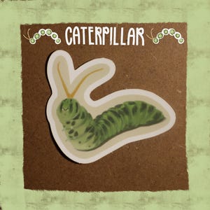 Cute Green Caterpillar Die Cut Sticker