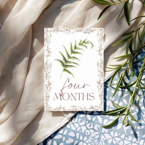 Cartes bébé étape importante | Cadeau pour bébé garçon ou fille | Ensemble imprimé | 12 accessoires photo mensuels | Du nouveau-né à 1 an | Cadeau baby shower | Le saule