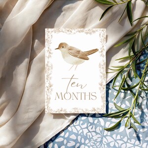 Bébé 12 Cartes Jalon | Cadeau pour bébé sans distinction de sexe | Ensemble imprimé | Accessoires photo mensuels | Du nouveau-né à 1 an | Cadeau baby shower | Le tremble