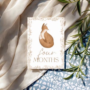 Bébé 12 Cartes Jalon | Cadeau pour bébé sans distinction de sexe | Ensemble imprimé | Accessoires photo mensuels | Du nouveau-né à 1 an | Cadeau baby shower | Le tremble