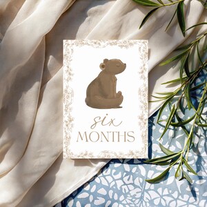 Bébé 12 Cartes Jalon | Cadeau pour bébé sans distinction de sexe | Ensemble imprimé | Accessoires photo mensuels | Du nouveau-né à 1 an | Cadeau baby shower | Le tremble