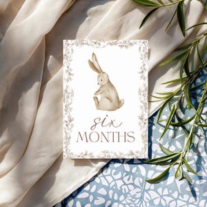 Cartes bébé étape importante | Cadeau pour bébé garçon ou fille | Ensemble imprimé | 12 accessoires photo mensuels | Du nouveau-né à 1 an | Cadeau baby shower | Le saule