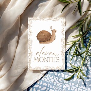 Bébé 12 Cartes Jalon | Cadeau pour bébé sans distinction de sexe | Ensemble imprimé | Accessoires photo mensuels | Du nouveau-né à 1 an | Cadeau baby shower | Le tremble