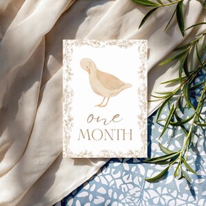Bébé 12 Cartes Jalon | Cadeau pour bébé sans distinction de sexe | Ensemble imprimé | Accessoires photo mensuels | Du nouveau-né à 1 an | Cadeau baby shower | Le tremble