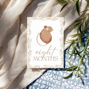 Bébé 12 Cartes Jalon | Cadeau pour bébé sans distinction de sexe | Ensemble imprimé | Accessoires photo mensuels | Du nouveau-né à 1 an | Cadeau baby shower | Le tremble