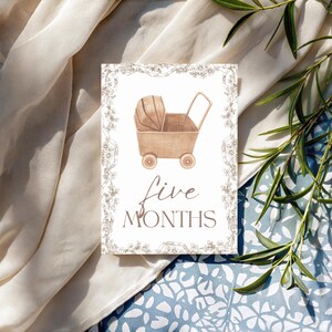 Cartes bébé étape importante | Cadeau pour bébé garçon ou fille | Ensemble imprimé | 12 accessoires photo mensuels | Du nouveau-né à 1 an | Cadeau baby shower | Le saule