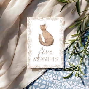 Bébé 12 Cartes Jalon | Cadeau pour bébé sans distinction de sexe | Ensemble imprimé | Accessoires photo mensuels | Du nouveau-né à 1 an | Cadeau baby shower | Le tremble