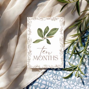 Cartes bébé étape importante | Cadeau pour bébé garçon ou fille | Ensemble imprimé | 12 accessoires photo mensuels | Du nouveau-né à 1 an | Cadeau baby shower | Le saule