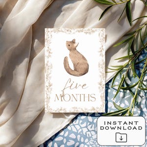 Cartes bébé étape importante | Téléchargement numérique | Imprimable | 12 accessoires photo mensuels | Souvenir de première année | Cadeau baby shower | Le tremble