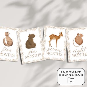 Cartes bébé étape importante | Téléchargement numérique | Imprimable | 12 accessoires photo mensuels | Souvenir de première année | Cadeau baby shower | Le tremble