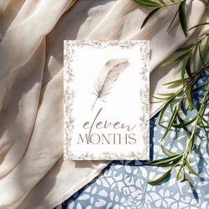 Cartes bébé étape importante | Cadeau pour bébé garçon ou fille | Ensemble imprimé | 12 accessoires photo mensuels | Du nouveau-né à 1 an | Cadeau baby shower | Le saule
