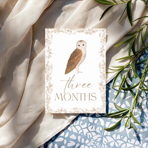 Bébé 12 Cartes Jalon | Cadeau pour bébé sans distinction de sexe | Ensemble imprimé | Accessoires photo mensuels | Du nouveau-né à 1 an | Cadeau baby shower | Le tremble