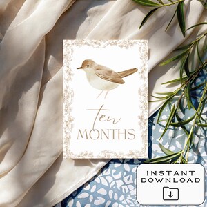 Cartes bébé étape importante | Téléchargement numérique | Imprimable | 12 accessoires photo mensuels | Souvenir de première année | Cadeau baby shower | Le tremble