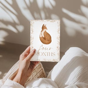 Bébé 12 Cartes Jalon | Cadeau pour bébé sans distinction de sexe | Ensemble imprimé | Accessoires photo mensuels | Du nouveau-né à 1 an | Cadeau baby shower | Le tremble