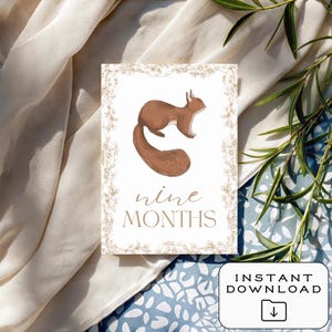 Cartes bébé étape importante | Téléchargement numérique | Imprimable | 12 accessoires photo mensuels | Souvenir de première année | Cadeau baby shower | Le tremble