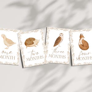 Bébé 12 Cartes Jalon | Cadeau pour bébé sans distinction de sexe | Ensemble imprimé | Accessoires photo mensuels | Du nouveau-né à 1 an | Cadeau baby shower | Le tremble
