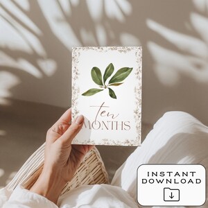 Cartes bébé étape importante | Téléchargement numérique | Imprimable | 12 accessoires photo mensuels | Souvenir de première année | Cadeau baby shower | Le saule