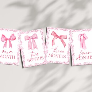 Cartes jalons bébé fille | Ensemble imprimé | 12 accessoires photo mensuels | Souvenir de première année | Du nouveau-né à 1 an | Cadeau baby shower | La Françoise