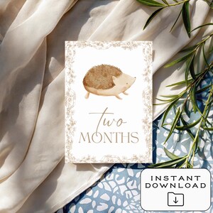 Cartes bébé étape importante | Téléchargement numérique | Imprimable | 12 accessoires photo mensuels | Souvenir de première année | Cadeau baby shower | Le tremble