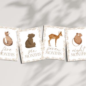 Bébé 12 Cartes Jalon | Cadeau pour bébé sans distinction de sexe | Ensemble imprimé | Accessoires photo mensuels | Du nouveau-né à 1 an | Cadeau baby shower | Le tremble